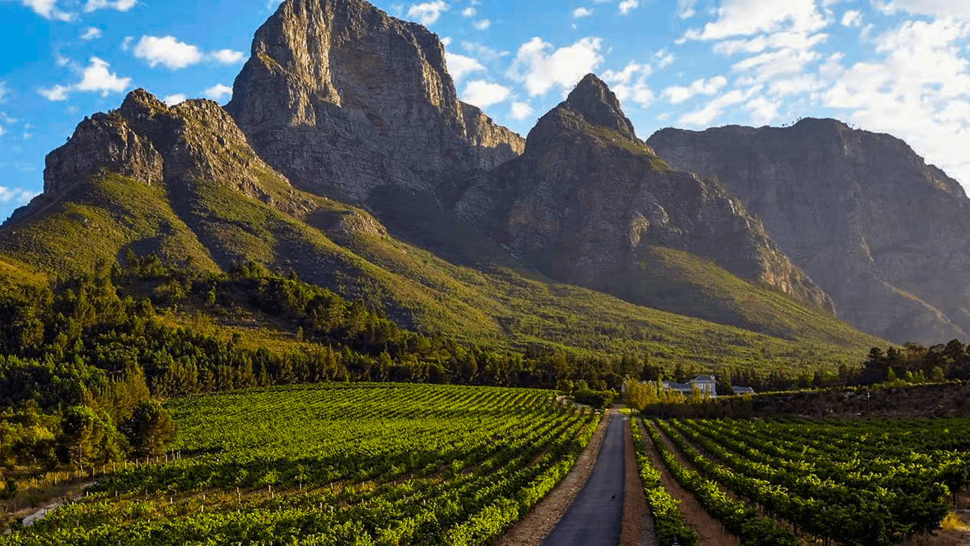 Franschhoek