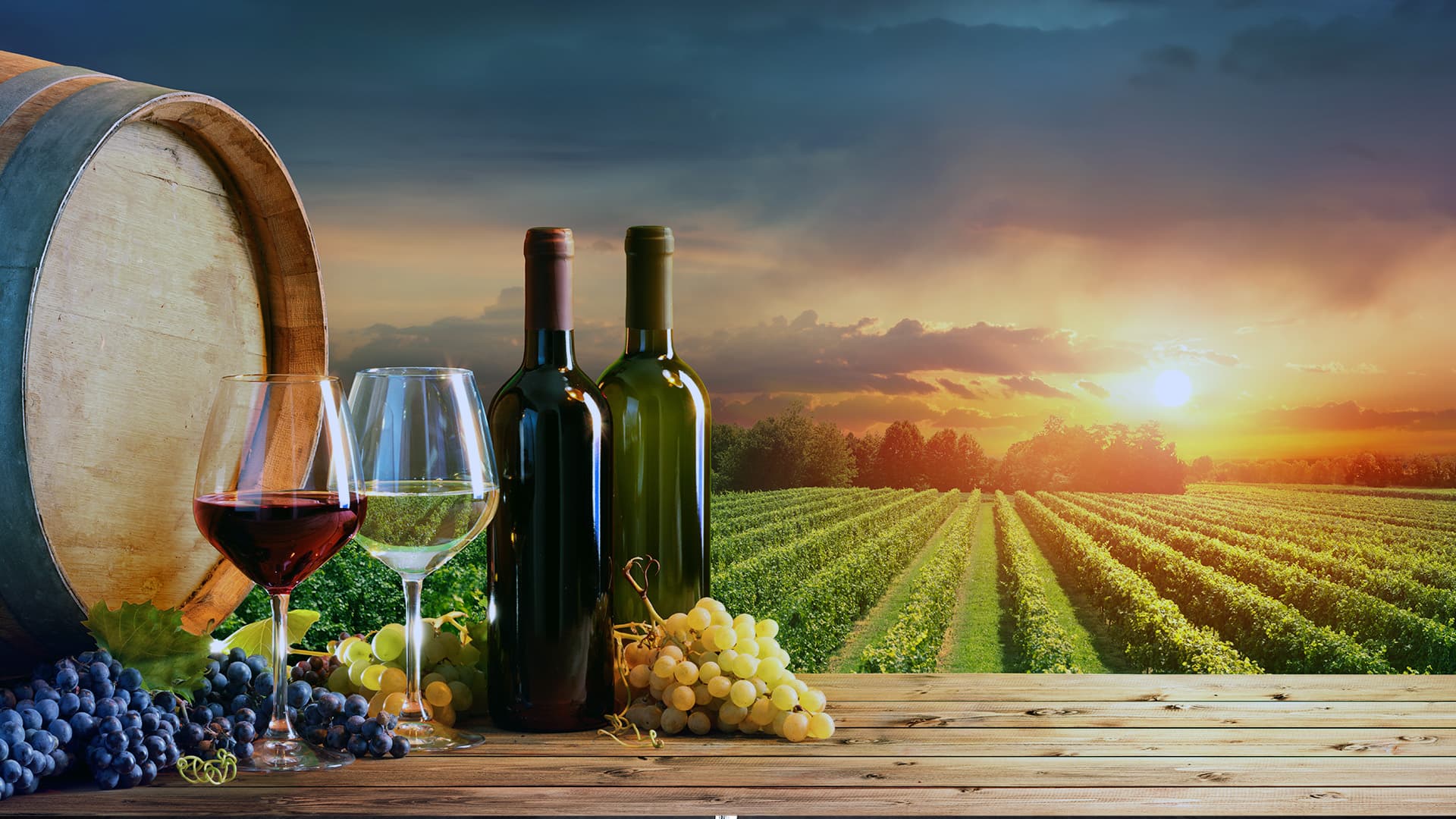 Cinsaut