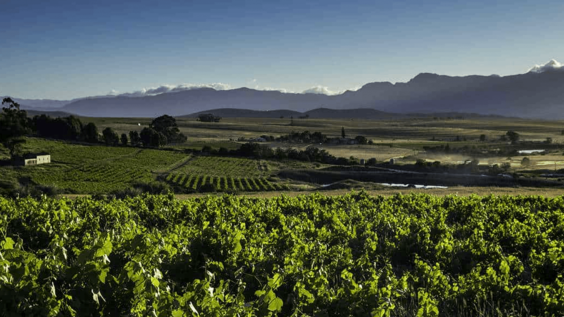 Swartland