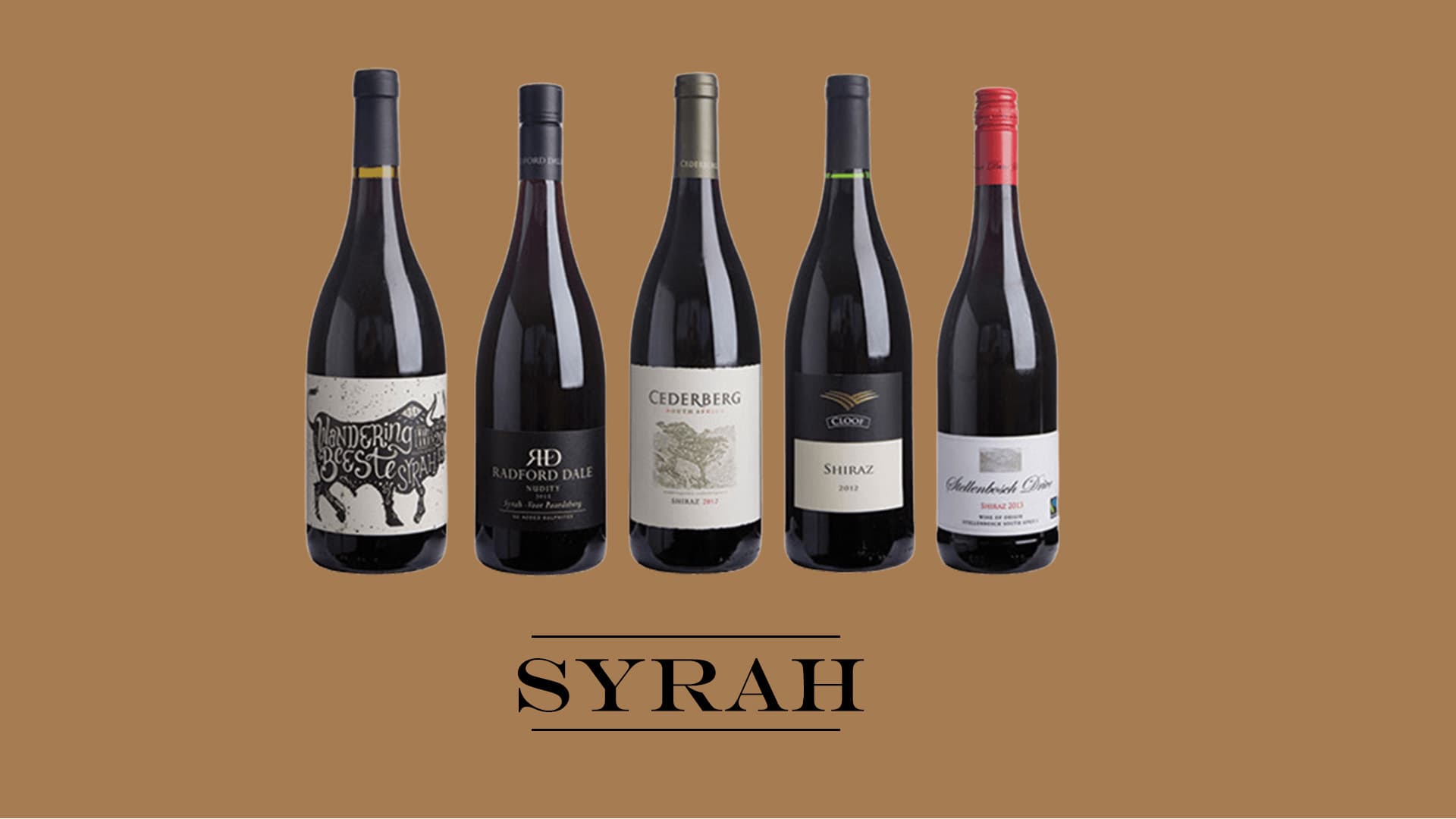Shiraz / Syrah