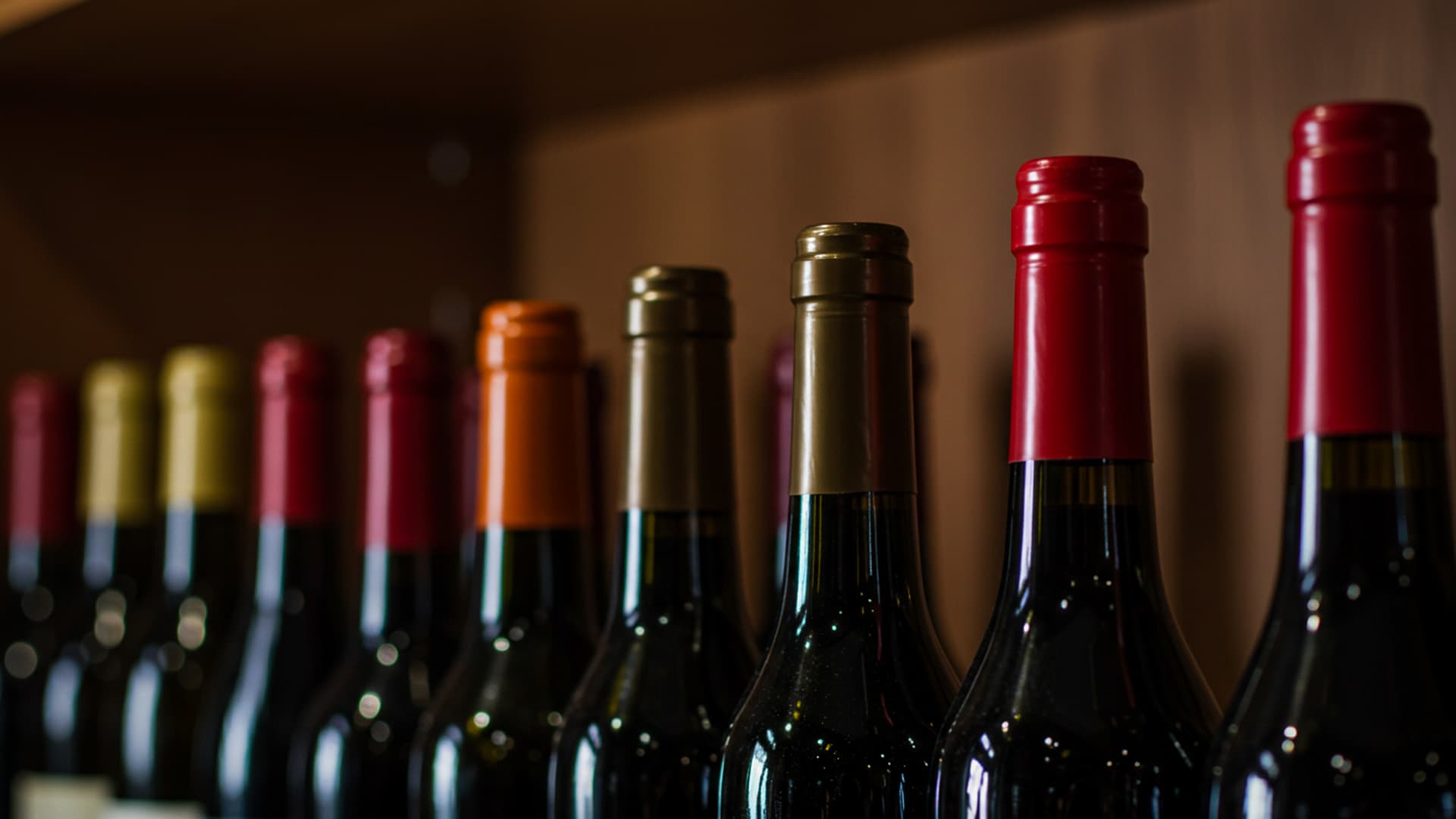 Wine Tourism in South Africa: A Vital Pillar of the Nation's Economy
