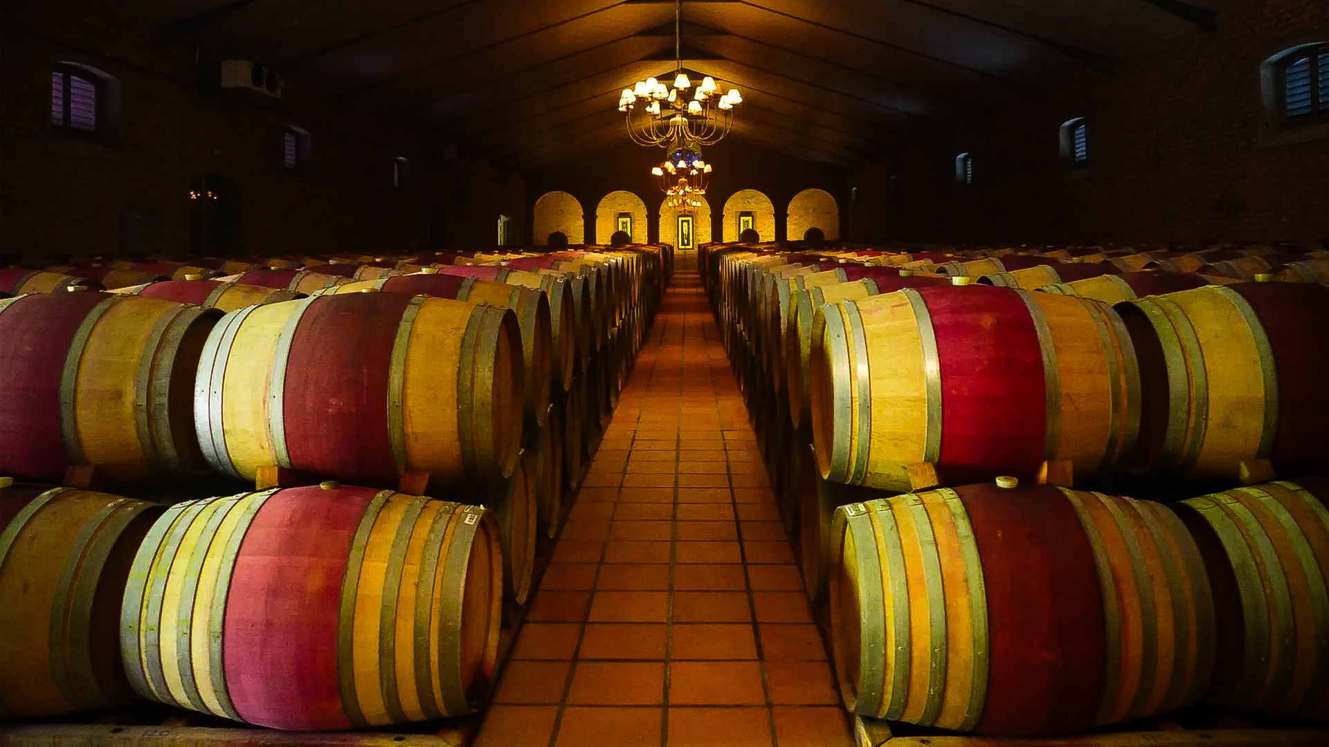 south-african-wine-production-techniques-and-practices.jpg