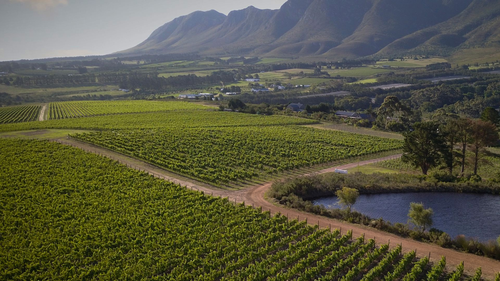 stellenbosch-wine-route.jpg