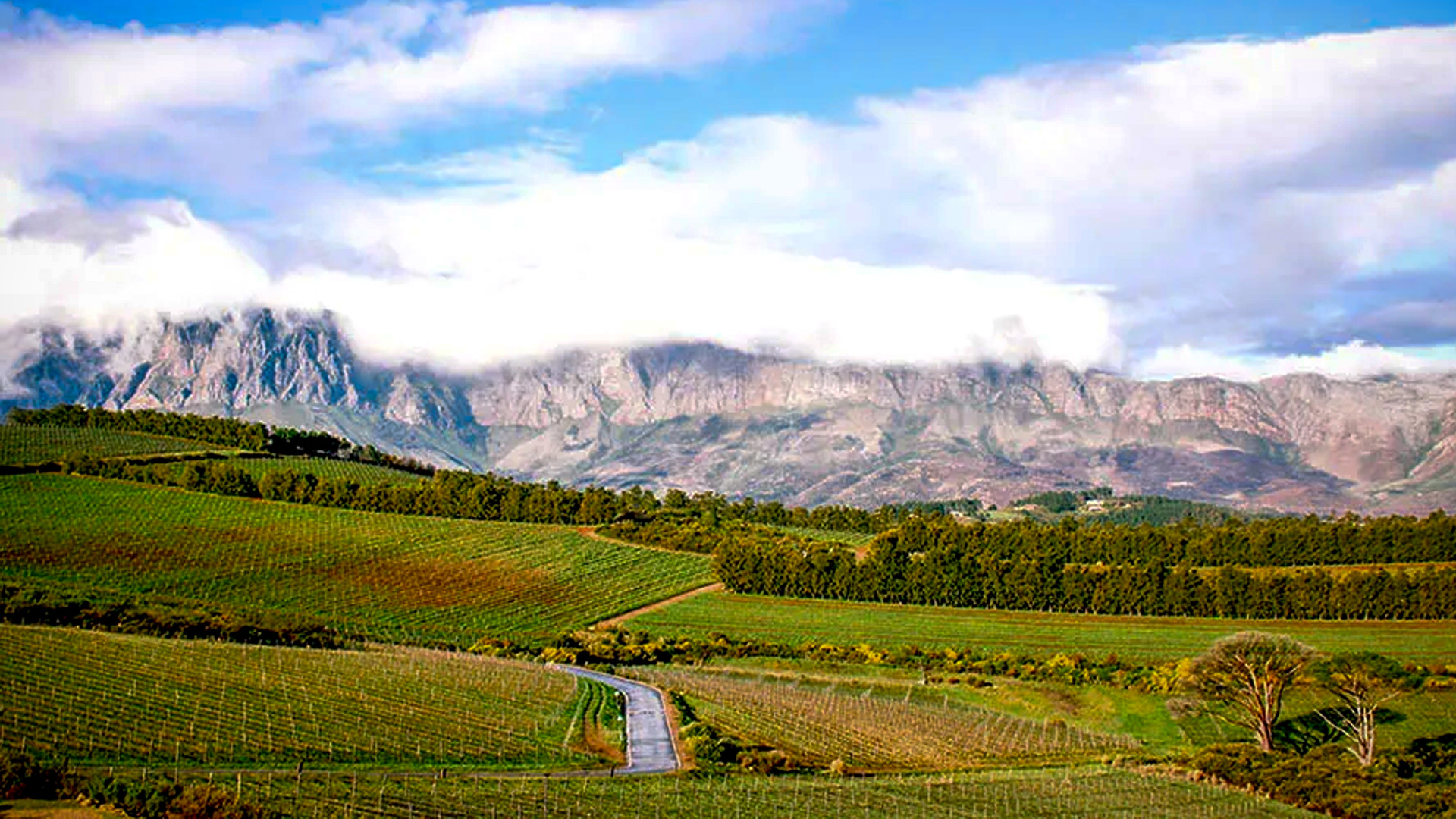 unique-south-african-terroirs-and-their-influence-on-natural-wines.jpg