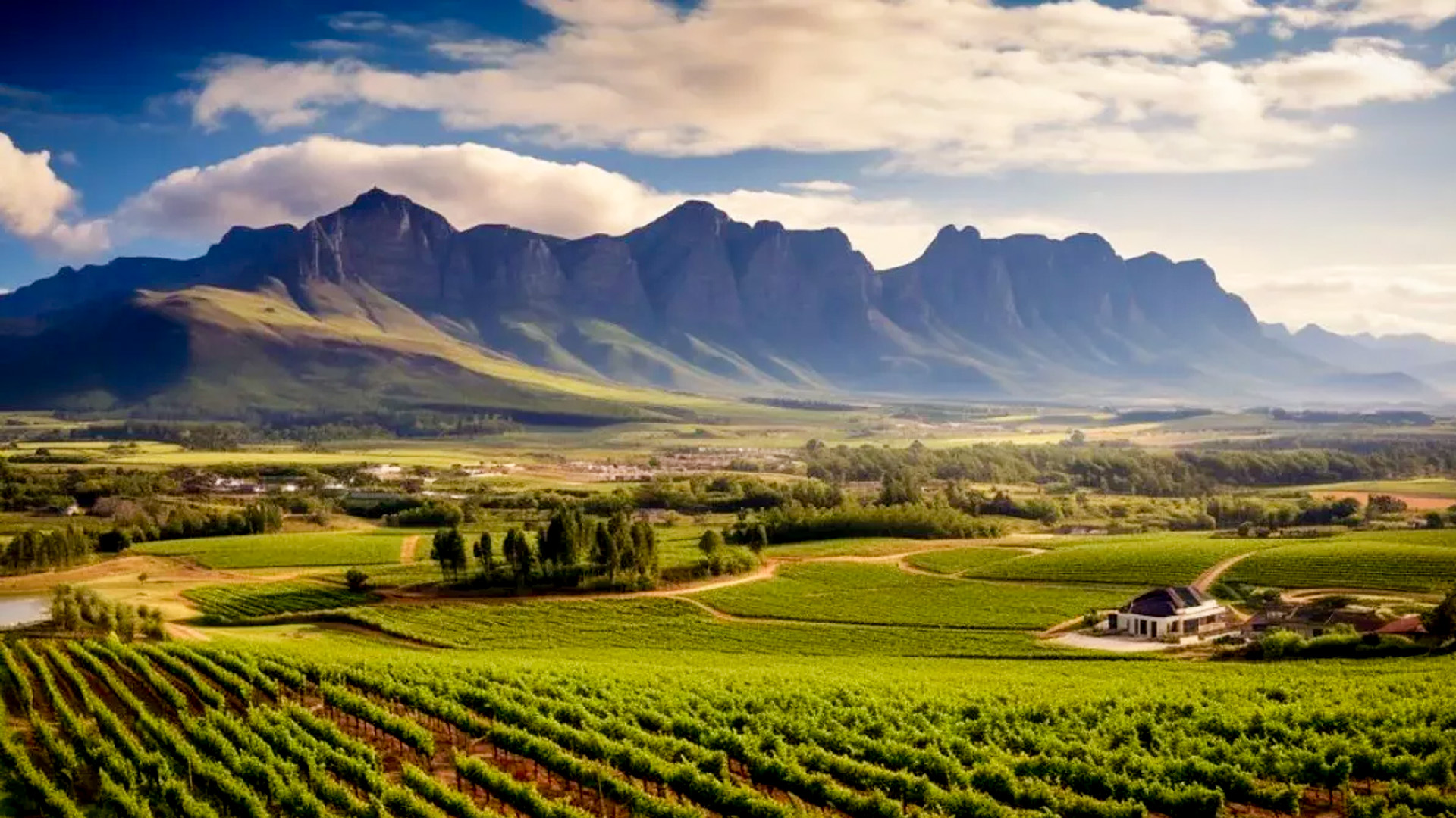 wine-tourism-and-sustainability-in-south-africa.jpg